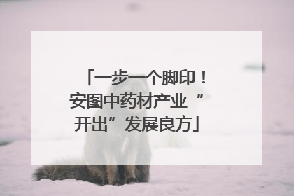 一步一个脚印！安图中药材产业“开出”发展良方