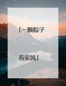 一颗粽子看家风