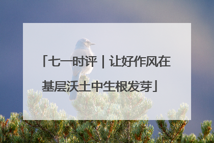 七一时评｜让好作风在基层沃土中生根发芽
