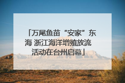 万尾鱼苗“安家”东海 浙江海洋增殖放流活动在台州启幕