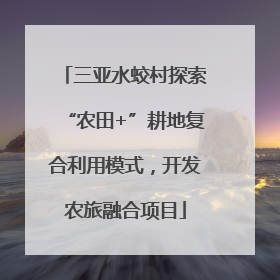 三亚水蛟村探索“农田+”耕地复合利用模式，开发农旅融合项目
