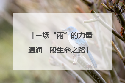 三场“雨”的力量温润一段生命之路