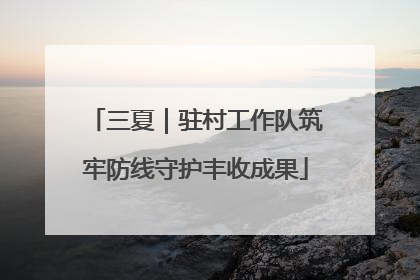 三夏｜驻村工作队筑牢防线守护丰收成果