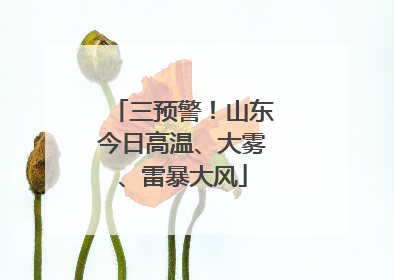 三预警！山东今日高温、大雾、雷暴大风