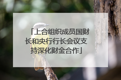 上合组织成员国财长和央行行长会议支持深化财金合作