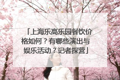 上海乐高乐园餐饮价格如何？有哪些演出与娱乐活动？记者探营