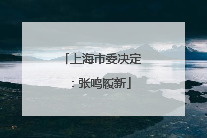 上海市委决定：张鸣履新