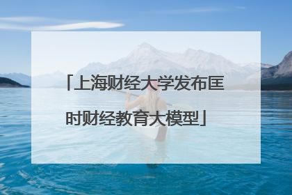 上海财经大学发布匡时财经教育大模型