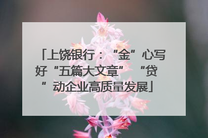 上饶银行：“金”心写好“五篇大文章” “贷”动企业高质量发展