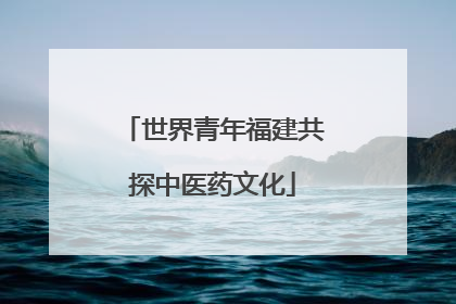 世界青年福建共探中医药文化