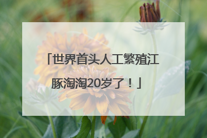 世界首头人工繁殖江豚淘淘20岁了！