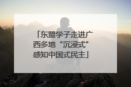 东盟学子走进广西多地“沉浸式”感知中国式民主
