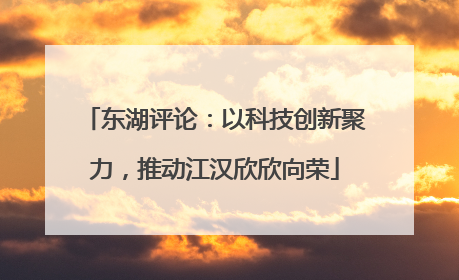 东湖评论：以科技创新聚力，推动江汉欣欣向荣
