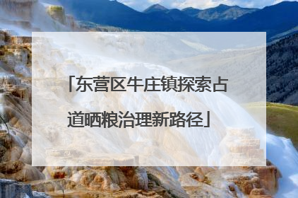 东营区牛庄镇探索占道晒粮治理新路径