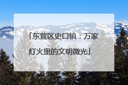 东营区史口镇：万家灯火里的文明微光