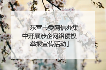 东营市委网信办集中开展涉企网络侵权举报宣传活动