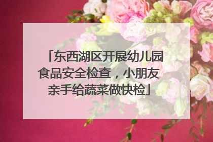 东西湖区开展幼儿园食品安全检查，小朋友亲手给蔬菜做快检