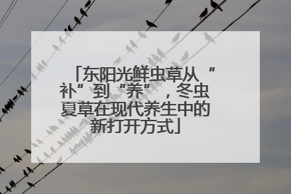 东阳光鲜虫草从“补”到“养”，冬虫夏草在现代养生中的新打开方式