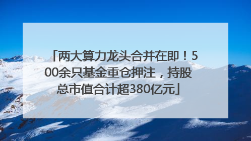 两大算力龙头合并在即！500余只基金重仓押注，持股总市值合计超380亿元