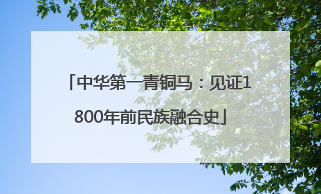 中华第一青铜马：见证1800年前民族融合史