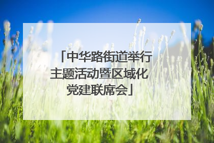 中华路街道举行主题活动暨区域化党建联席会