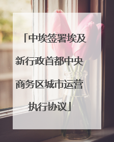 中埃签署埃及新行政首都中央商务区城市运营执行协议