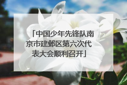 中国少年先锋队南京市建邺区第六次代表大会顺利召开