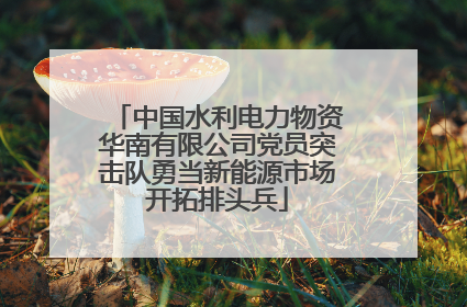 中国水利电力物资华南有限公司党员突击队勇当新能源市场开拓排头兵