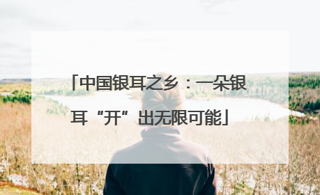 中国银耳之乡：一朵银耳“开”出无限可能