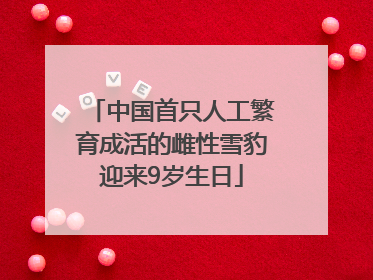 中国首只人工繁育成活的雌性雪豹迎来9岁生日