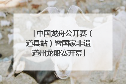 中国龙舟公开赛（道县站）暨国家非遗道州龙船赛开幕
