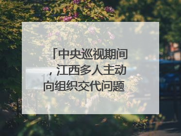 中央巡视期间，江西多人主动向组织交代问题｜打虎拍蝇
