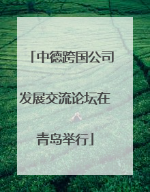 中德跨国公司发展交流论坛在青岛举行