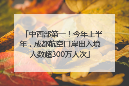 中西部第一！今年上半年，成都航空口岸出入境人数超300万人次