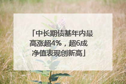 中长期债基年内最高涨超4%，超6成净值表现创新高