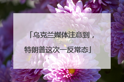 乌克兰媒体注意到，特朗普这次一反常态