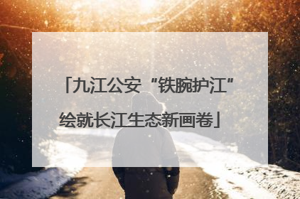 九江公安“铁腕护江”绘就长江生态新画卷