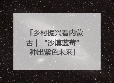 乡村振兴看内蒙古｜“沙漠蓝莓”种出紫色未来