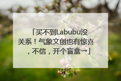 买不到Labubu没关系！气象文创也有惊喜，不信，开个盲盒→