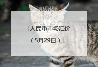 人民币市场汇价（5月29日）