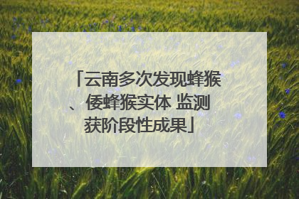 云南多次发现蜂猴、倭蜂猴实体 监测获阶段性成果
