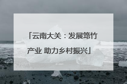 云南大关：发展筇竹产业 助力乡村振兴