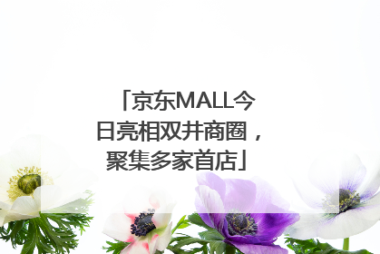 京东MALL今日亮相双井商圈，聚集多家首店