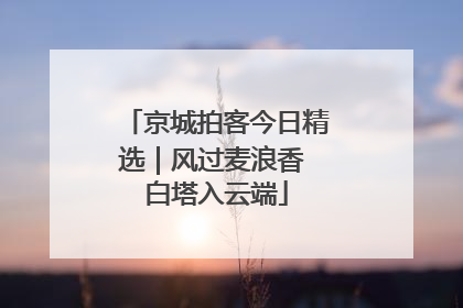 京城拍客今日精选｜风过麦浪香 白塔入云端