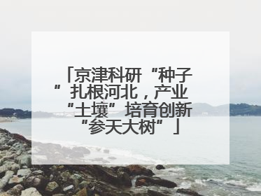 京津科研“种子”扎根河北，产业“土壤”培育创新“参天大树”
