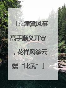 京津冀风筝高手顺义开赛，花样风筝云端“比武”