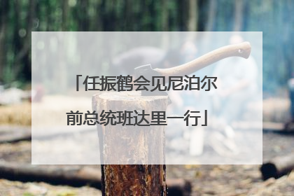 任振鹤会见尼泊尔前总统班达里一行
