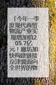 今年一季度现代商贸物流产业实现增加值205.7亿元！廊坊加快构建链接京津冀面向全世界的物流通道