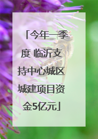 今年一季度 临沂支持中心城区城建项目资金5亿元