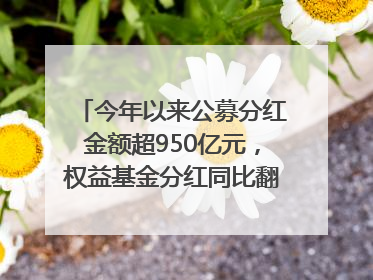 今年以来公募分红金额超950亿元，权益基金分红同比翻倍｜招财猫